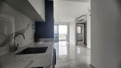 Affinity At Serangoon (D19), Apartment #499635231